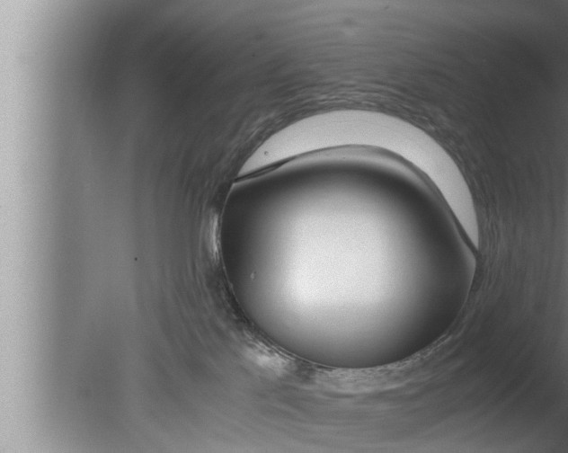 X0000080160041200612302205