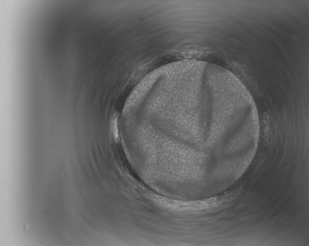 X0000080160042200612302205