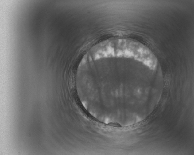 X0000080160043200612302205