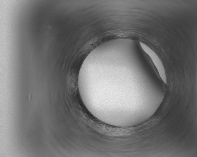 X0000080160044200612302205