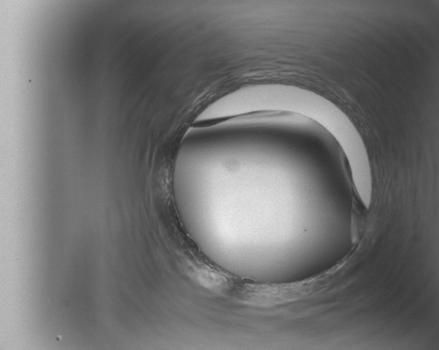 X0000080160045200612302205