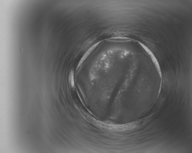 X0000080160046200612302205