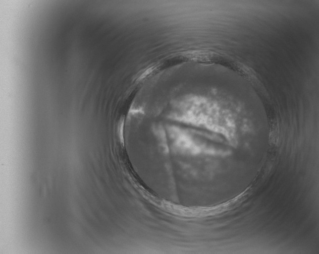 X0000080160047200612302205