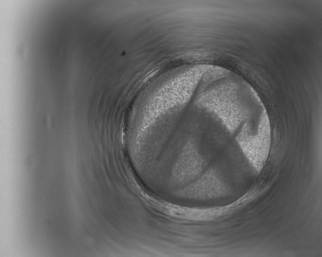 X0000080160048200612302205