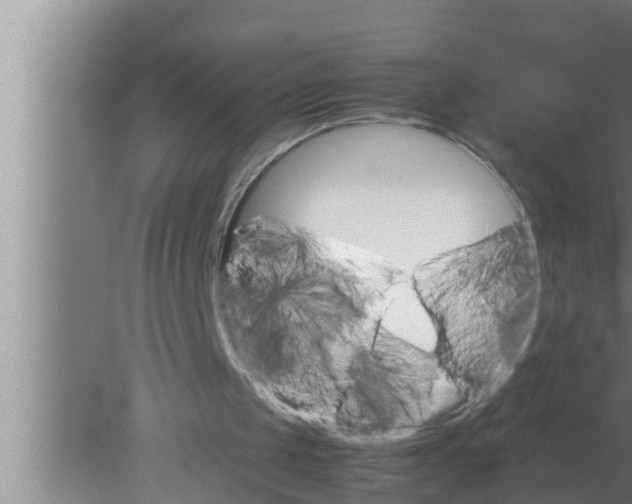 X0000080160049200612302204