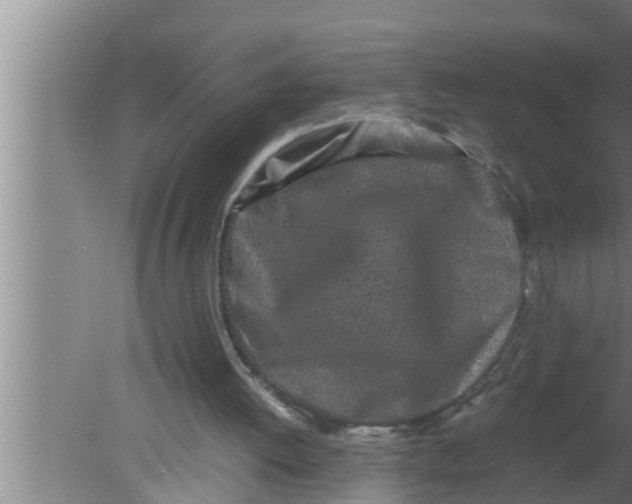 X0000080160052200612302204