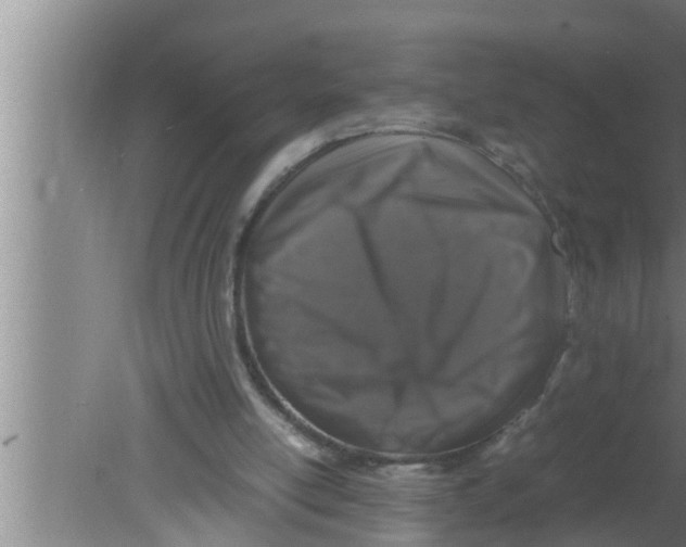 X0000080160054200612302204