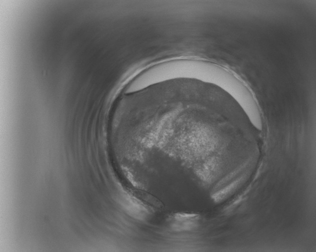 X0000080160055200612302204