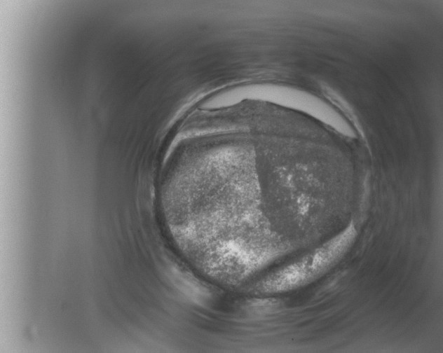 X0000080160059200612302204