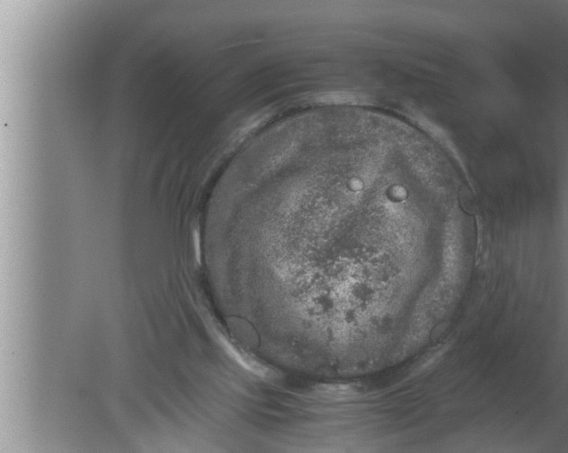 X0000080160061200612302204