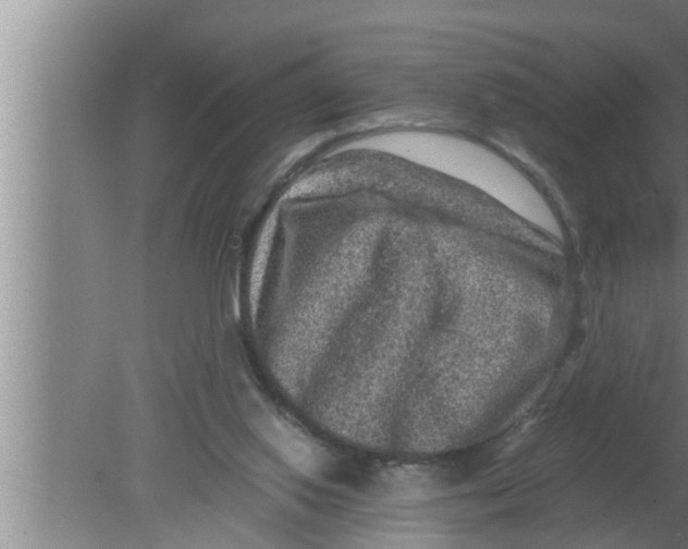 X0000080160062200612302204