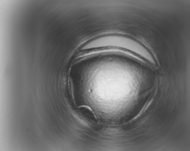 X0000080160063200612302204