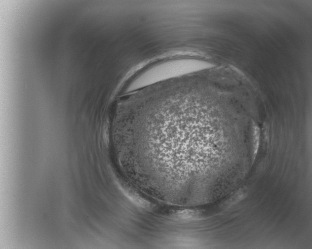 X0000080160064200612302204