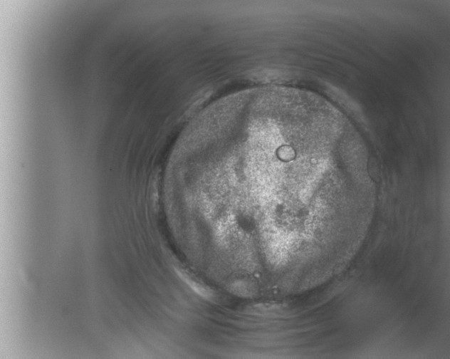 X0000080160065200612302204