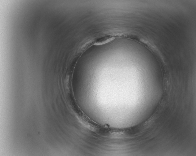 X0000080160066200612302204