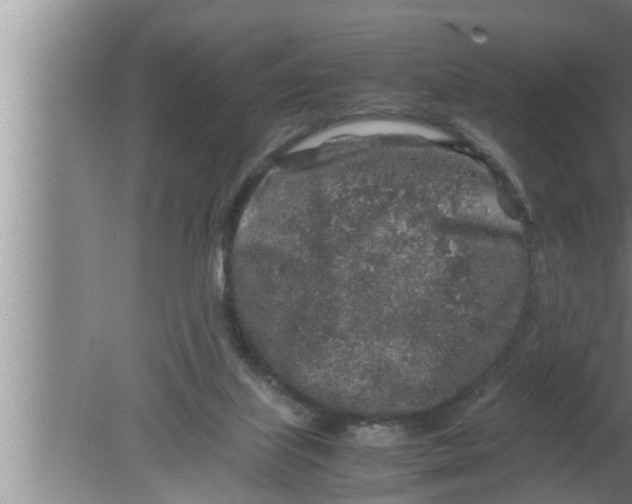 X0000080160067200612302204