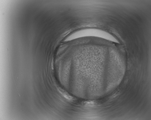 X0000080160068200612302204