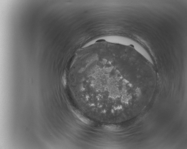 X0000080160069200612302204