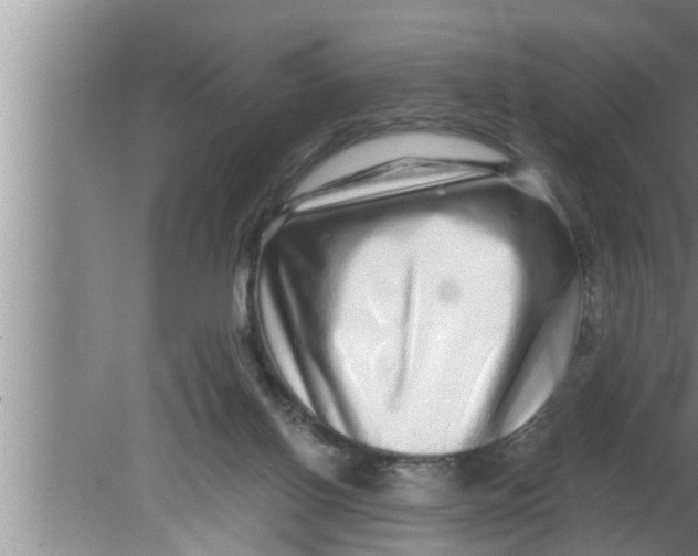 X0000080160070200612302204