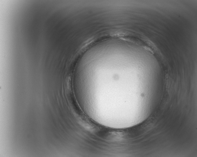 X0000080160071200612302204