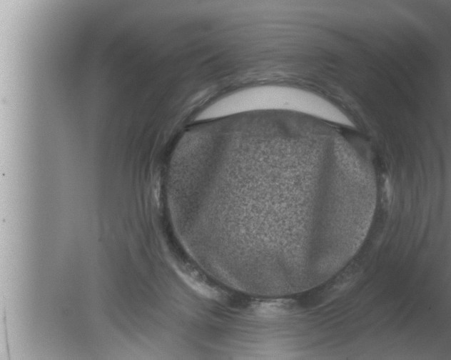 X0000080160072200612302204