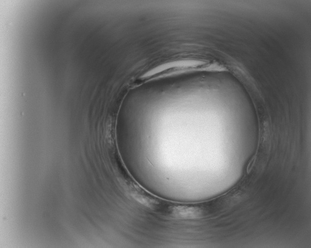 X0000080160073200612302204