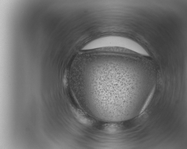 X0000080160074200612302204