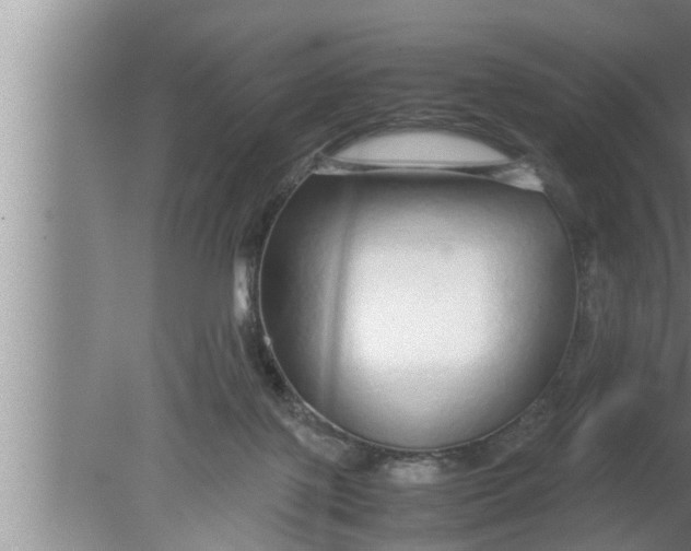 X0000080160075200612302204