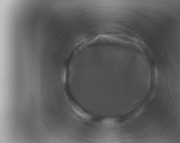 X0000080160076200612302204