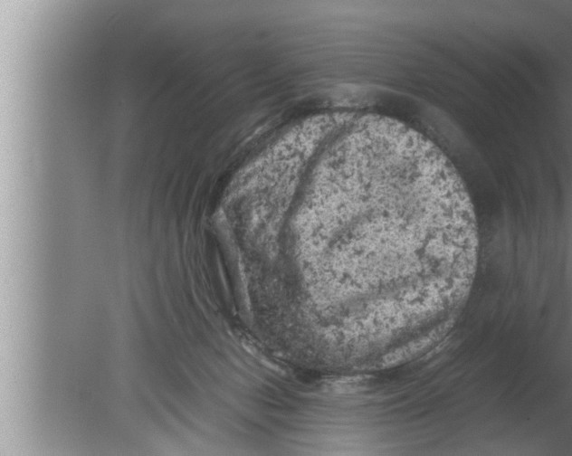 X0000080160078200612302204