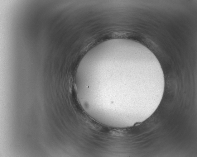 X0000080160079200612302204