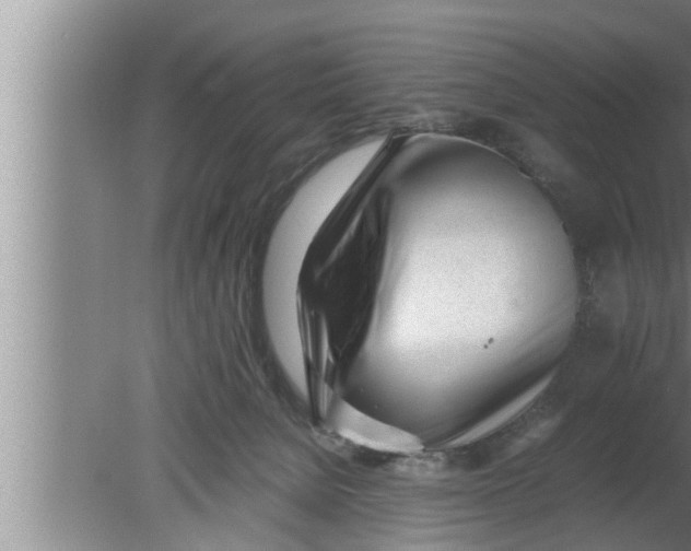 X0000080160080200612302204