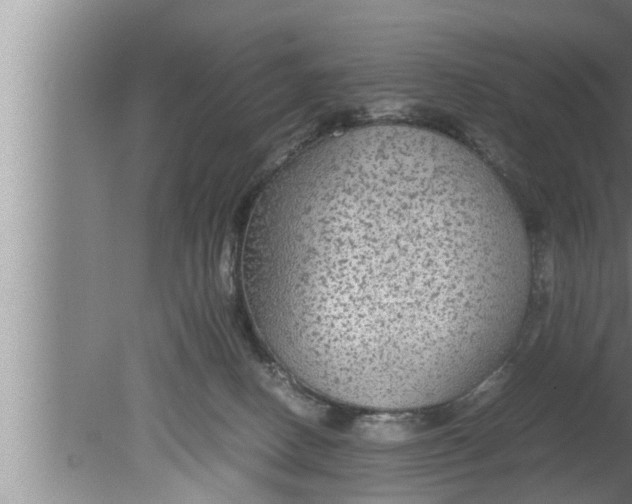 X0000080160082200612302204