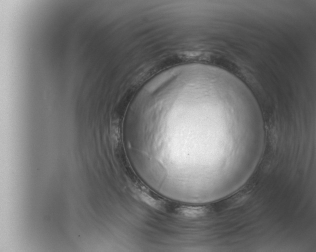 X0000080160085200612302204