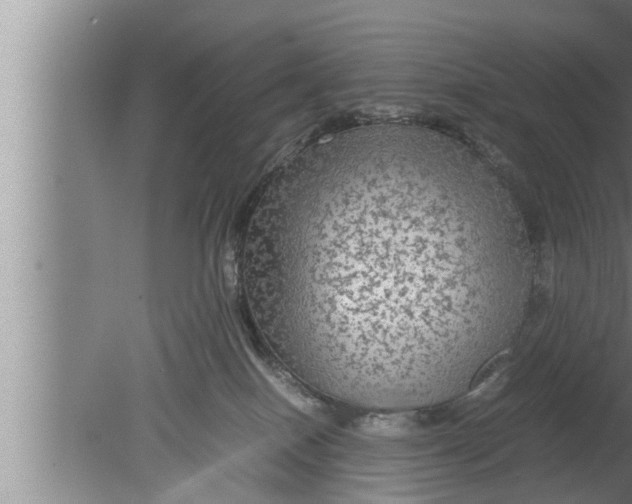 X0000080160086200612302204