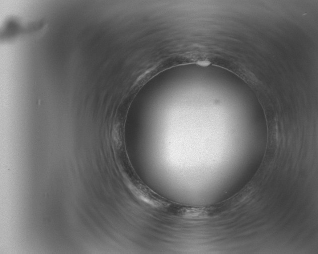 X0000080160088200612302204