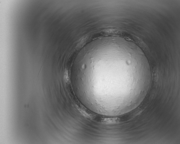 X0000080160089200612302204