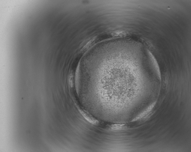 X0000080160090200612302204