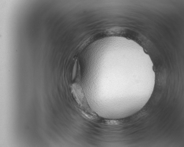 X0000080160091200612302204