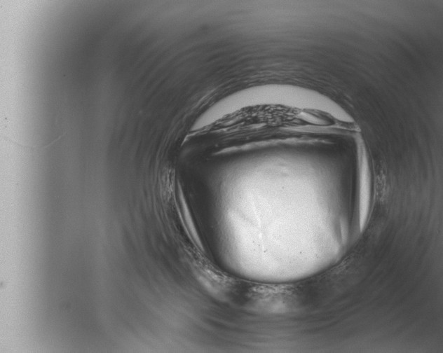 X0000080160093200612302204