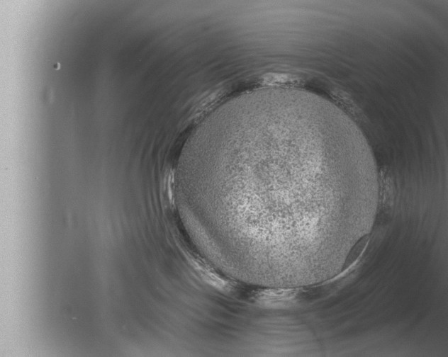 X0000080160094200612302205