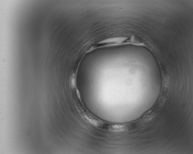 X0000080160095200612302205