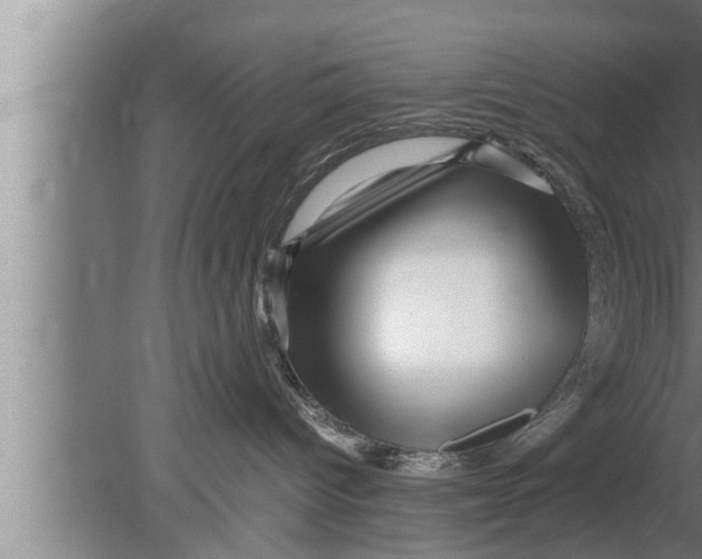 X0000080160096200612302205