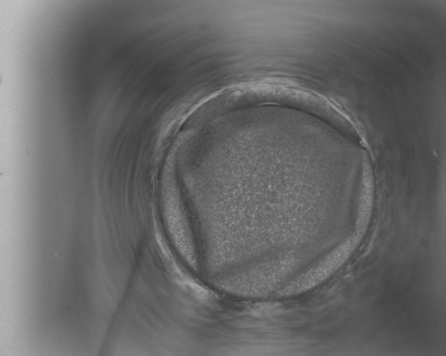 X0000080160097200612302204