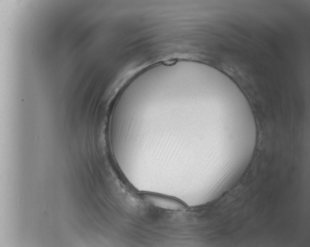 X0000080160098200612302204