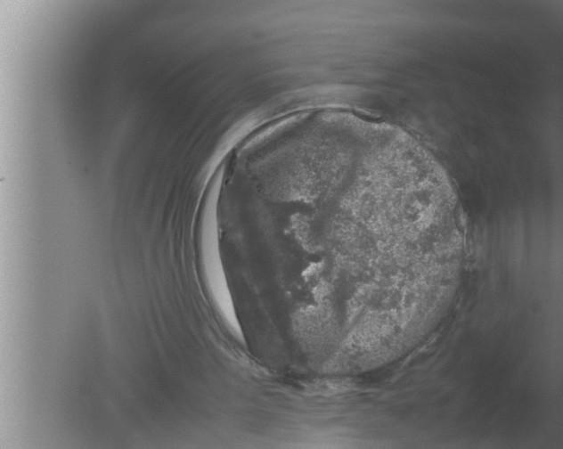 X0000080160099200612302204