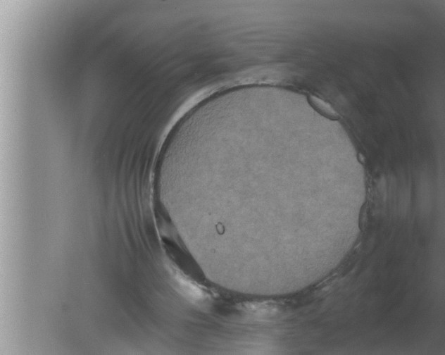 X0000080160100200612302204