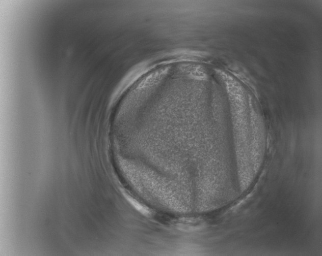 X0000080160101200612302204