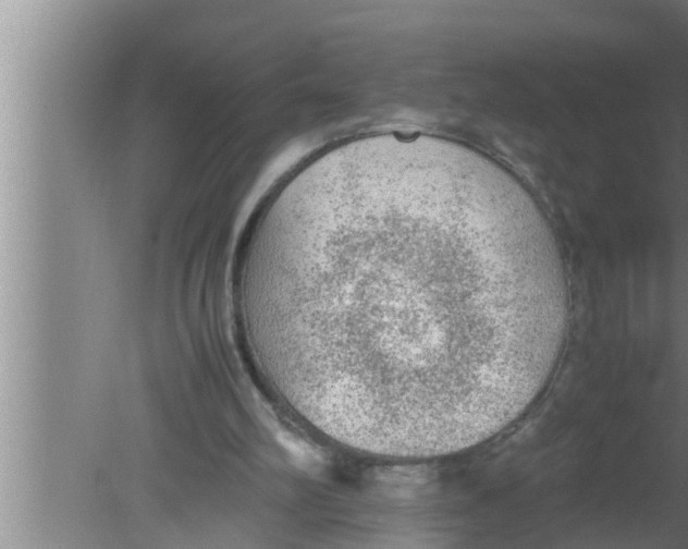 X0000080160102200612302204