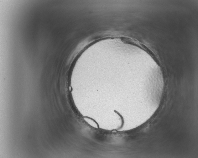 X0000080160103200612302204